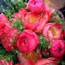 행복을주는꽃 이미지