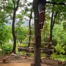 UR(파주시)-[가온로]-상-6 | 파주 숲놀이터 추천 !운정호수공원 유아숲체험원 OPEN 방문 후기 및 주차정보