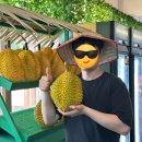 코타키나발루 두리안 첫 도전! TREE HAVE GOLD 무상킹 두리안 빙수 후기