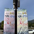 2024 정읍 구절초 꽃축제 후기 (10월 16일 기준)