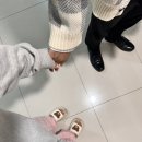 경희디에스한방병원 이미지