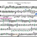 비바체안경 이미지