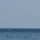 춘해보건대학교 이미지