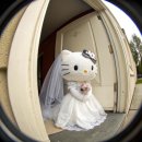 글로우링플라워 | [Wedding💍] #9 취향소나무의 클레브 스튜디오 계약후기📸 | 클레브 볼라르 클로드 콜레트 | 베리굿...