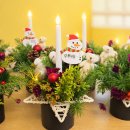 초록별 | 서울 강동구 신명초병설유치원 아이들과 함께한초록초록 크리스마스 별 센터피스 원예수업 후기