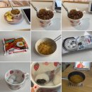 석세스하우스 | 막차 호주 워홀ㅣ08.04 - 08.18 (시드니 주립 도서관으로 시작해서 주립 도서관으로 끝나는)