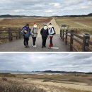 제917회차 3/4 태안 해변 바라길 1코스예약 신청 이미지