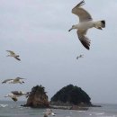 꽃지 이미지