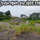 셈바이오(주) 이미지