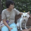 현대석유얼음 이미지