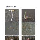 2016년 종자기사 시험 일정 이미지