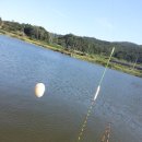 보성강5 이미지