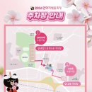 더예쁨김천점 | 김천 연화지 벚꽃축제 26년 4월 5일 다녀온 후기