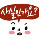 세이브택스 이미지