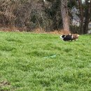 목동농장 이미지