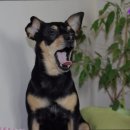 현대고시텔 이미지