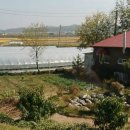 부동산손길공인중개사사무소 이미지