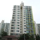 진흥 에이스 이미지