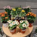 땅부자부동산중개사무소 이미지