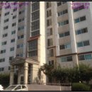 여술로44번길 이미지