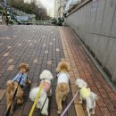 슬기유치원 네이버블로그
