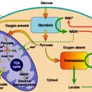 제주동물병원 이미지