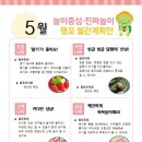 행복한 꼬마 거북이 이미지