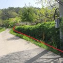 고란농장 이미지