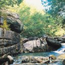 구암마을진입로 이미지