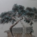 영천 약남리 회화나무 이미지