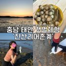 갯벌의 추억 | [공지] 충남 태안 갯벌체험 맛조개 동죽 해루질 초보 꿀팁 진산리어촌계 후기