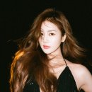 백록 이미지