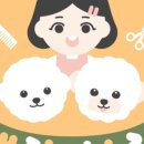 개랑나랑 이미지