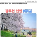 광주 천변길4 | 광주 피크닉 명소 광주천 천변 벚꽃길 제4회 힐링음악회 새봄