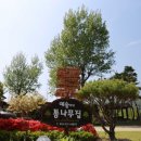 예솔이네통나무집 이미지