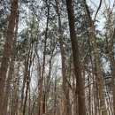 백둔리 주차장 이미지