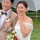 네일또보니