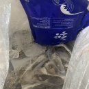 큰바위 | 여름 제철 바위 굴, 맥주잔보다 큰 사이즈?! 내 돈 내산 후기