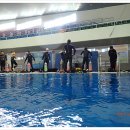 창원실내수영장 수영장 이미지