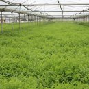 우성농장 이미지