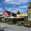 혜성펜션 이미지