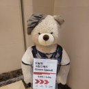 테디밸리CC 이미지