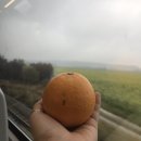 퓌센하우스 이미지