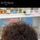 하랑헤어 - 나주시 남평2로 41 | 하랑헤어