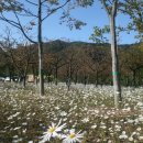 칠갑산오토캠핑장 이미지