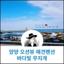 양양오션뷰애견펜션바다빛무지개 이미지