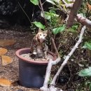 평통보쌈송정.형곡점 이미지