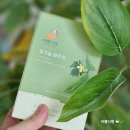 여주쉼표 | 당뇨 혈당 관리 식습관에 여주차가 자주 언급되는 이유