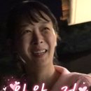 배이산업(주) | XLK ETF - QQQ와 비교