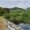 경안천 운학동 이미지